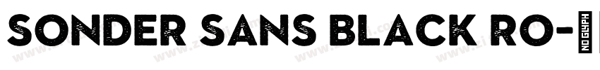 Sonder Sans Black Ro字体转换